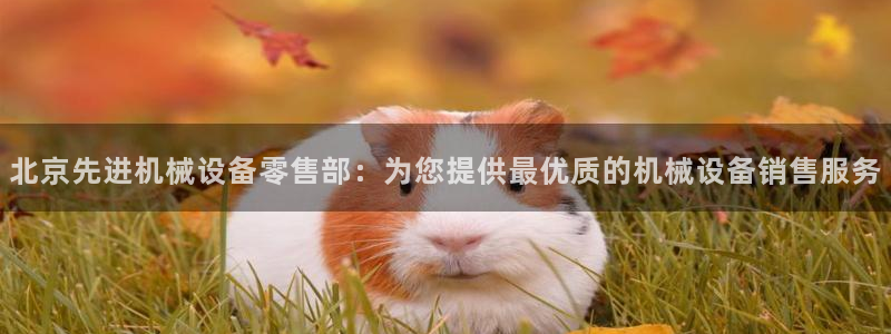 九游j9打不开