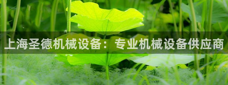 j9九游会官方网站国际