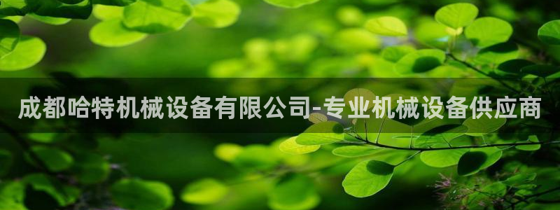 j9九游会网址
