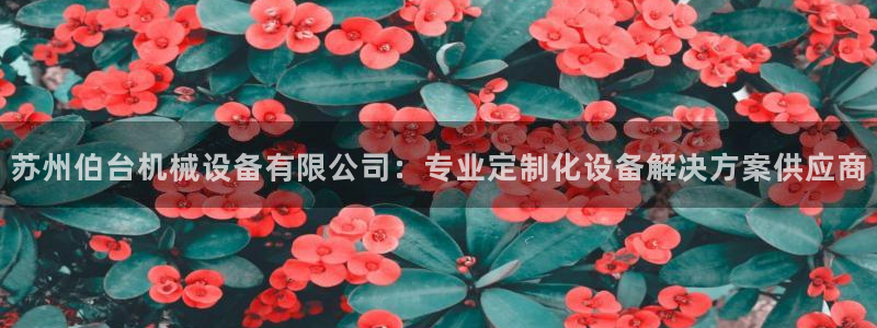 九游会电话