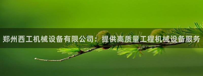 九游会是大平台吗