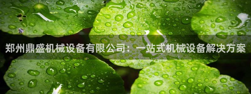 j9九游会体育