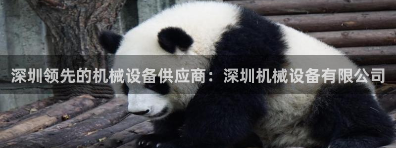 九游会老哥必备的俱乐部交流区
