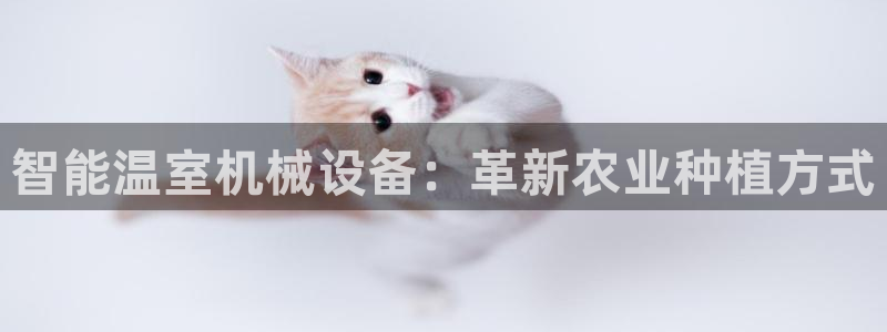 九游会官方网址
