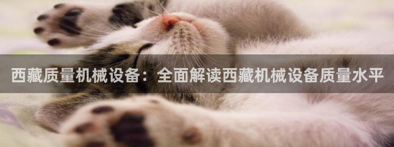 j9九游会官网入口