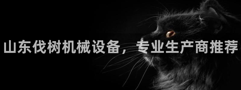 j9九游会真人游戏第一