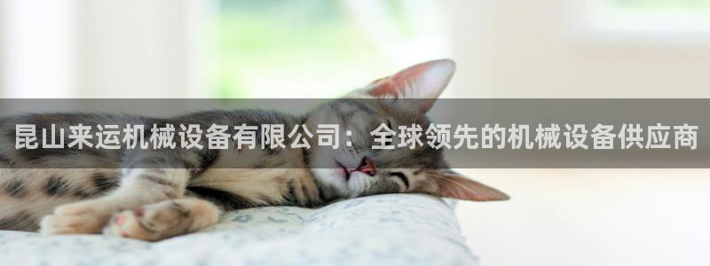 J9九游会网站