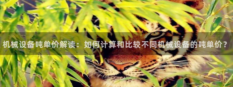 九游会官方网
