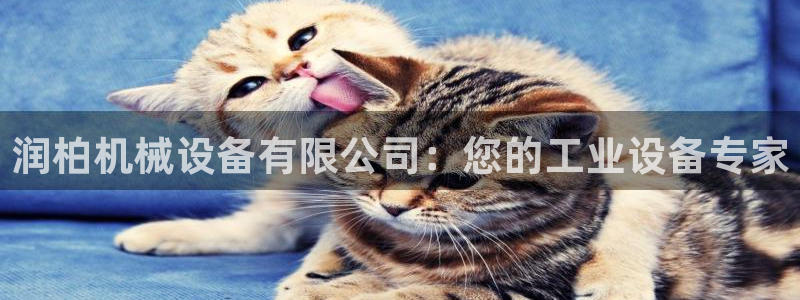 九游会ag入口