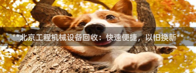 九游会怎么提币