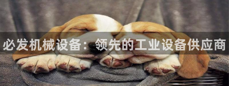 九游会j9全站平台