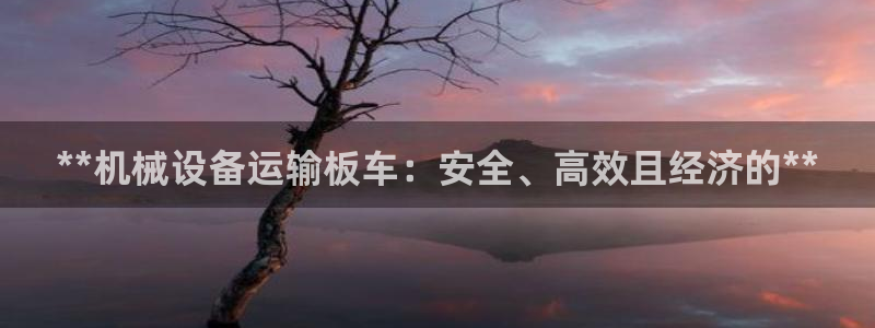 ag九游会论坛