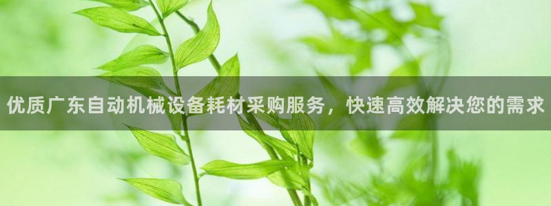 九游会官方地址