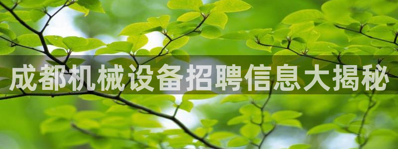 J9九游会ag