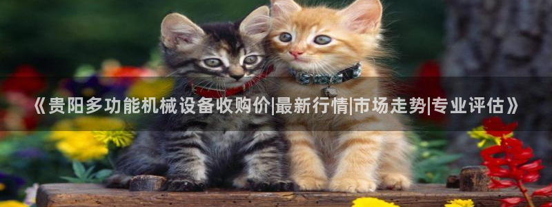 九游会官网下载不了吗