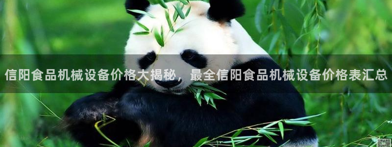 九游会agj9