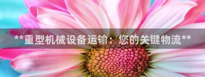 九游会老哥俱乐部官网首页