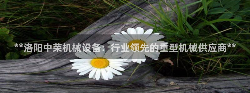 九游会ag官方平台