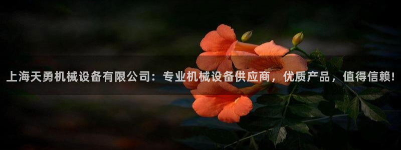 j9九游会老哥俱乐部官网