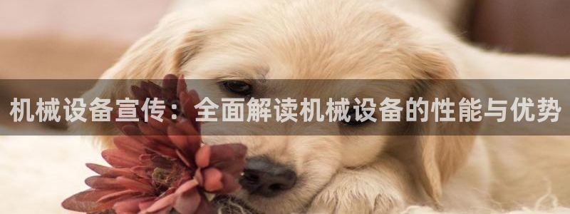 9游会网站登录