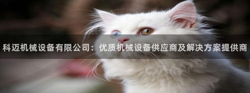 j9九游会买u多少一个