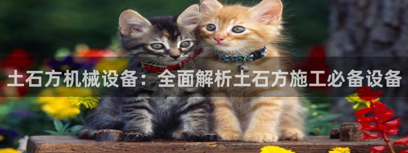 九游会在线官方网站