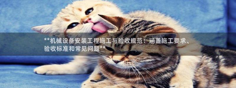 九游会官网真人认证吗