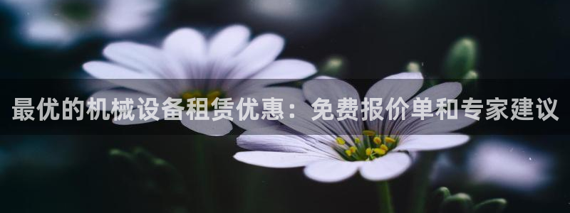 ag8九游会