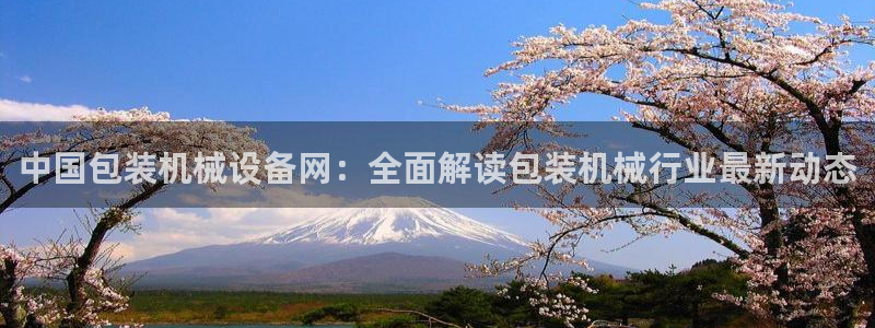 j9九游会不出款