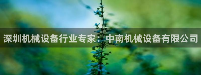 j9九游会app官网下载