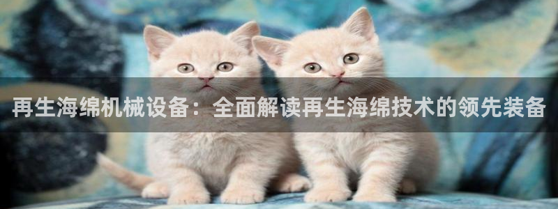 九游会怎么了