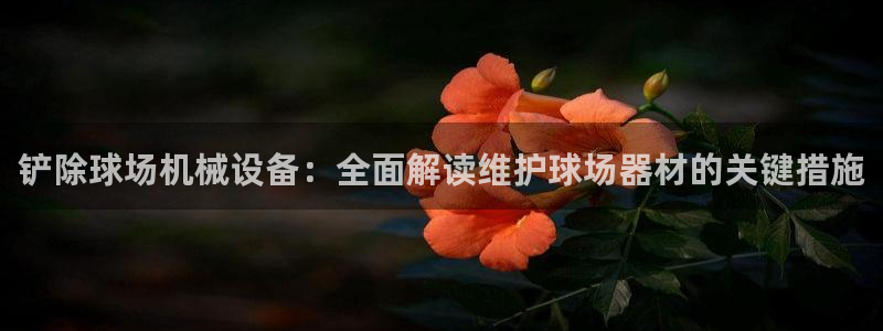 ag九游俱乐部