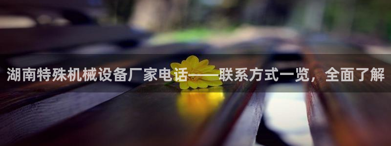 九游会官方选网址是j9.cm