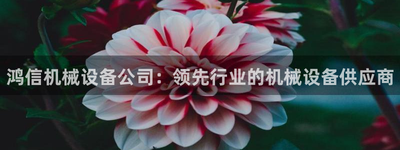 j9九游会ag8手机aPP