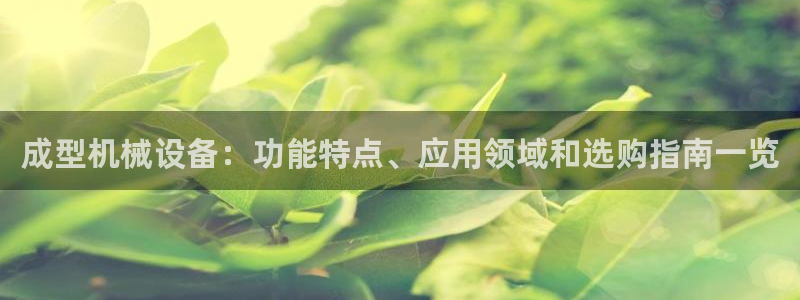 九游会j9国际站 - j9游会官方网页版