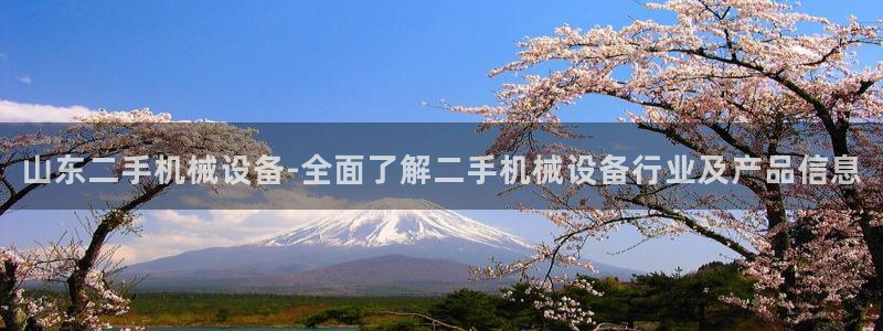 九游会集团登录：山东