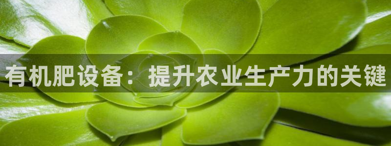九游会官方网站中心