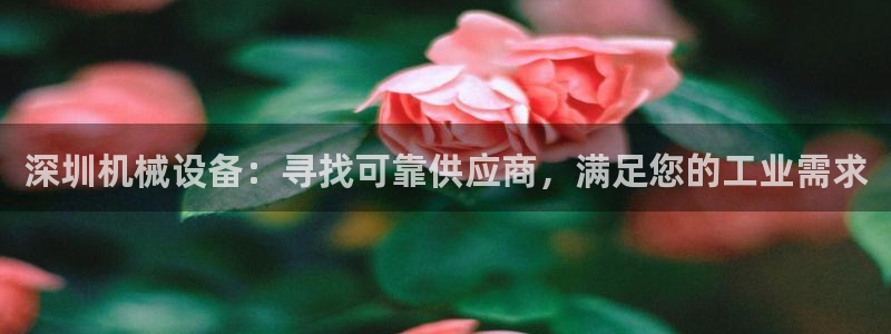 j9九游会合法吗