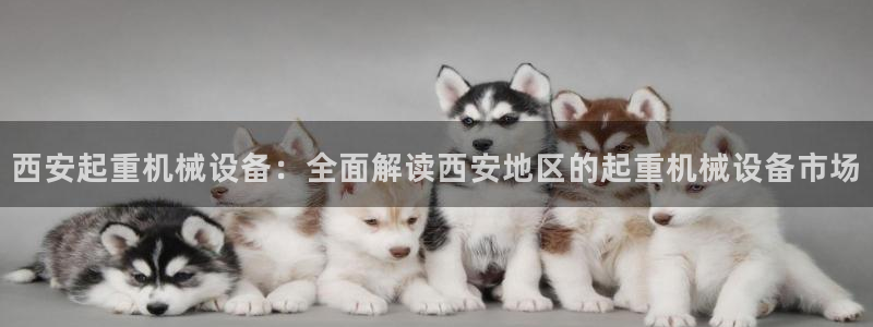 九游会官网jy