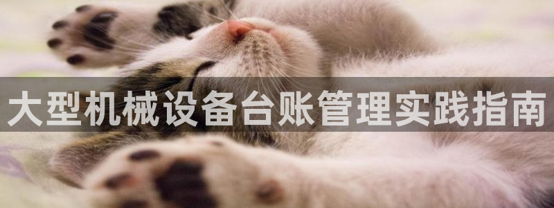 九游会官网入口