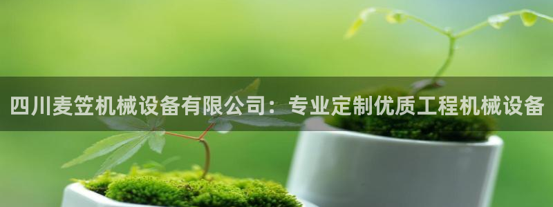 ag九游会