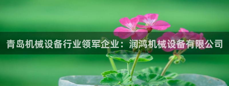 九游会官方在线
